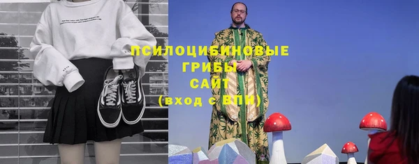 дурь Пестово