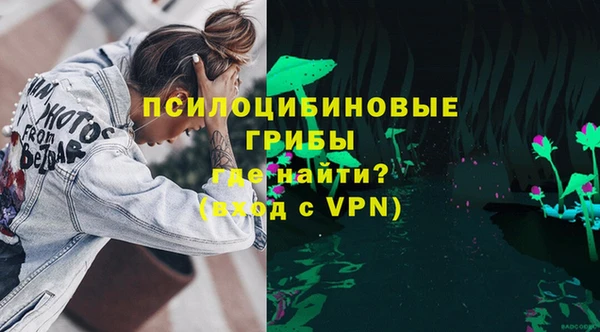 дурь Пестово