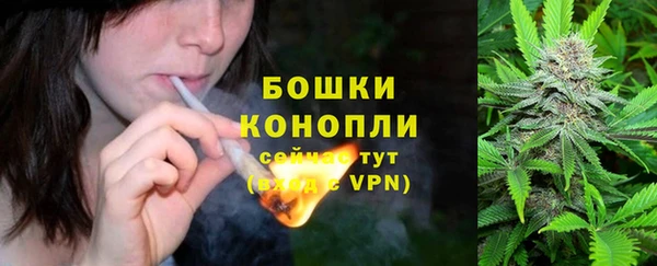 героин Пересвет