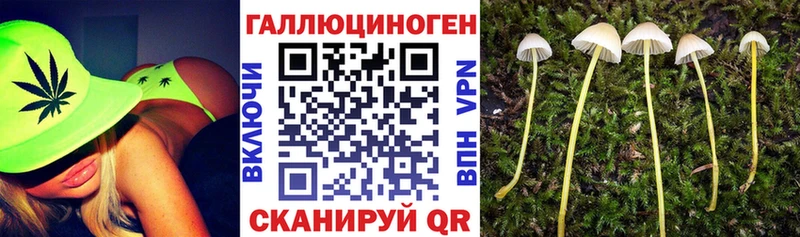 купить наркотики сайты Пугачёв Галлюциногенные грибы мухоморы